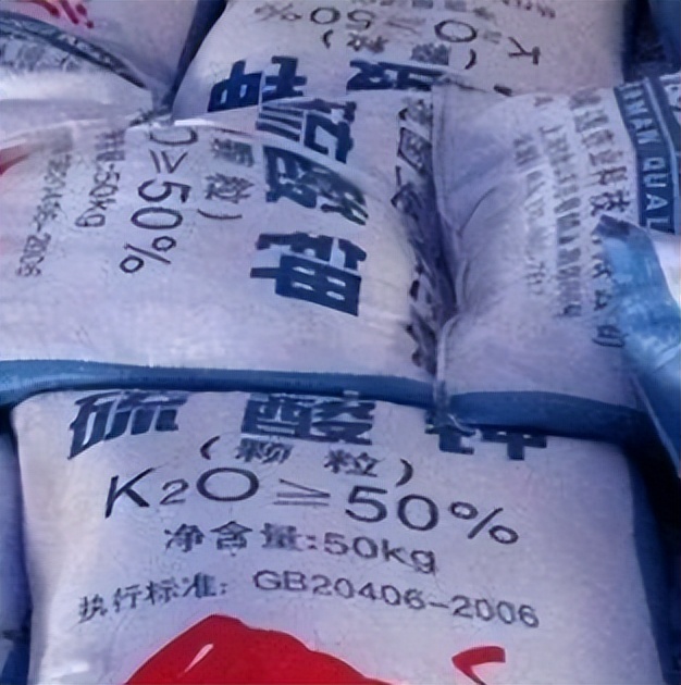 中港?；愤M口