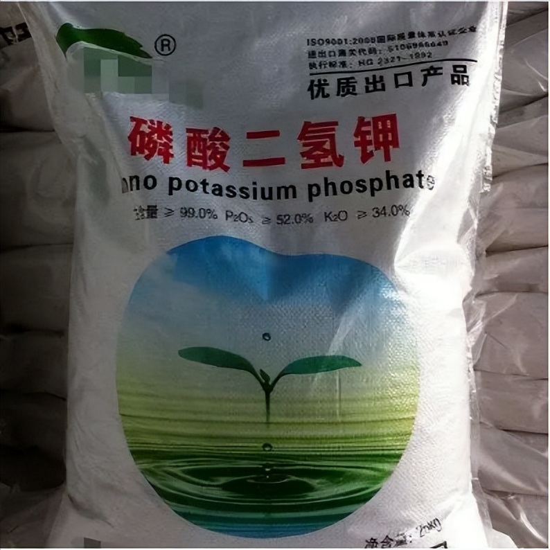 中港?；坟洿? width=