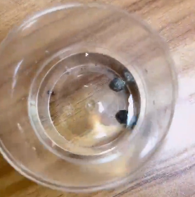 <a href='http://www.jbjbj.cn' title='危險(xiǎn)品貨代' >危險(xiǎn)品貨代</a>